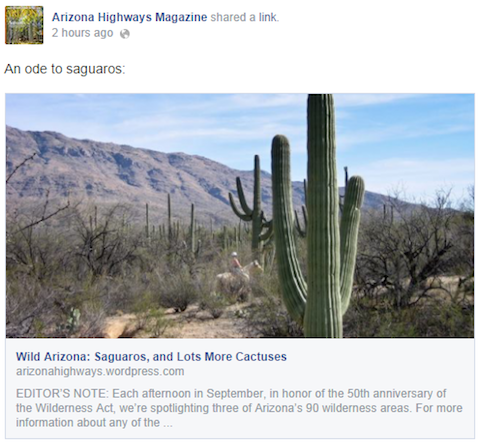 AZ-Highways-cactus