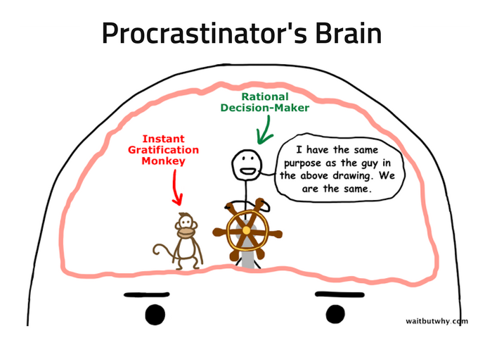 Procrastinator's Brain line drawing