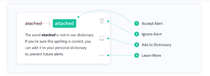 Grammarly Review: bug fixes in Word