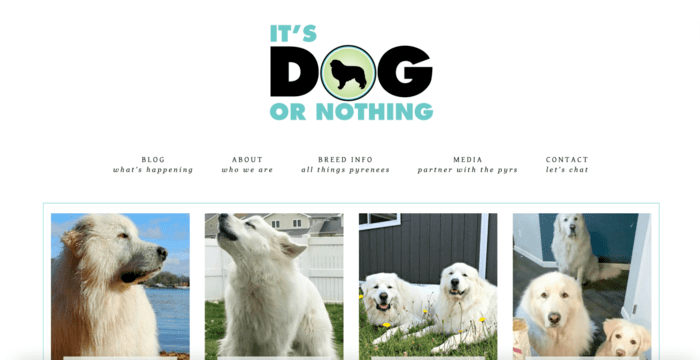 Home page of pet blog called It's Dog or Nothing