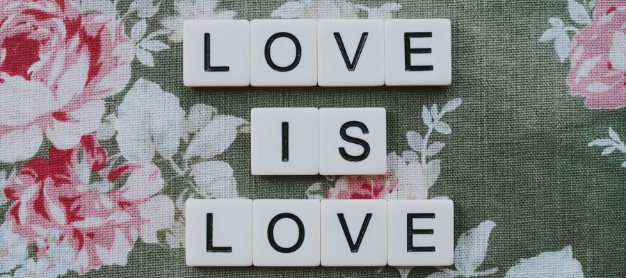 tautology examples text love is love