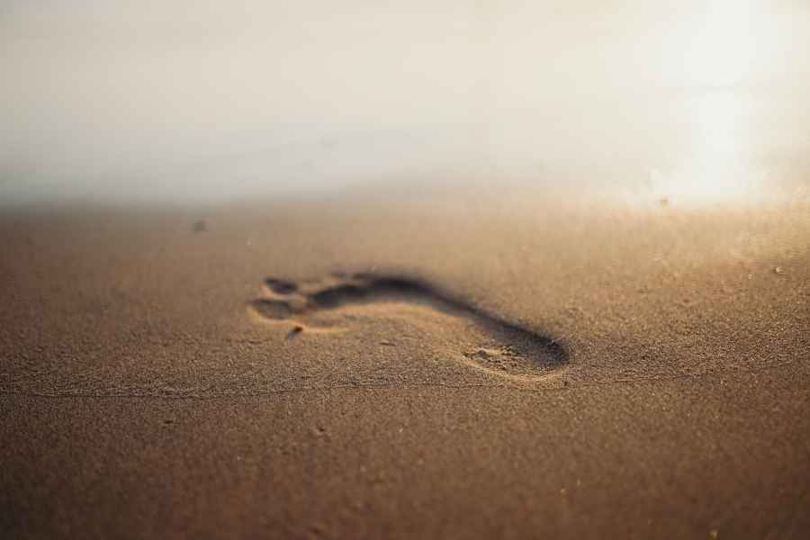 a footprint in the sand