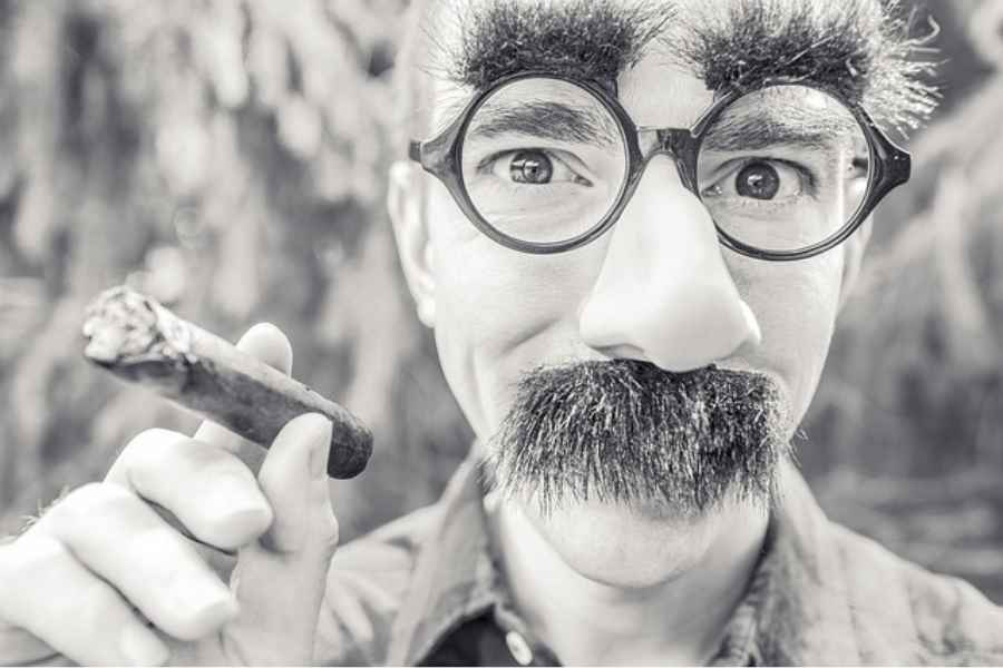 man with cigar wearing false moustache, nose, glasses, and eyebrows