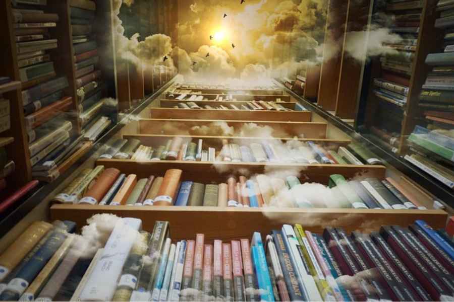 bookshelves filld with books pointing toward a sky with sun, clouds, and birds