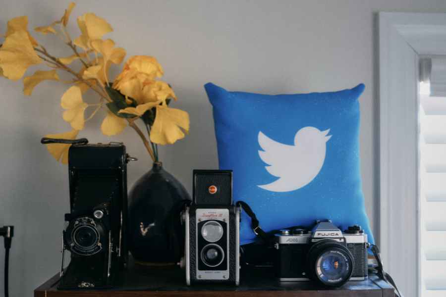 twitter symbol on a throw pillow with flowers and cameras on a table