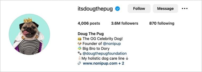 250+ Best Instagram Bio Ideas for 2024 (Just Copy & Paste!)