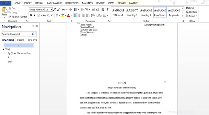 Screenshot of MS Word document