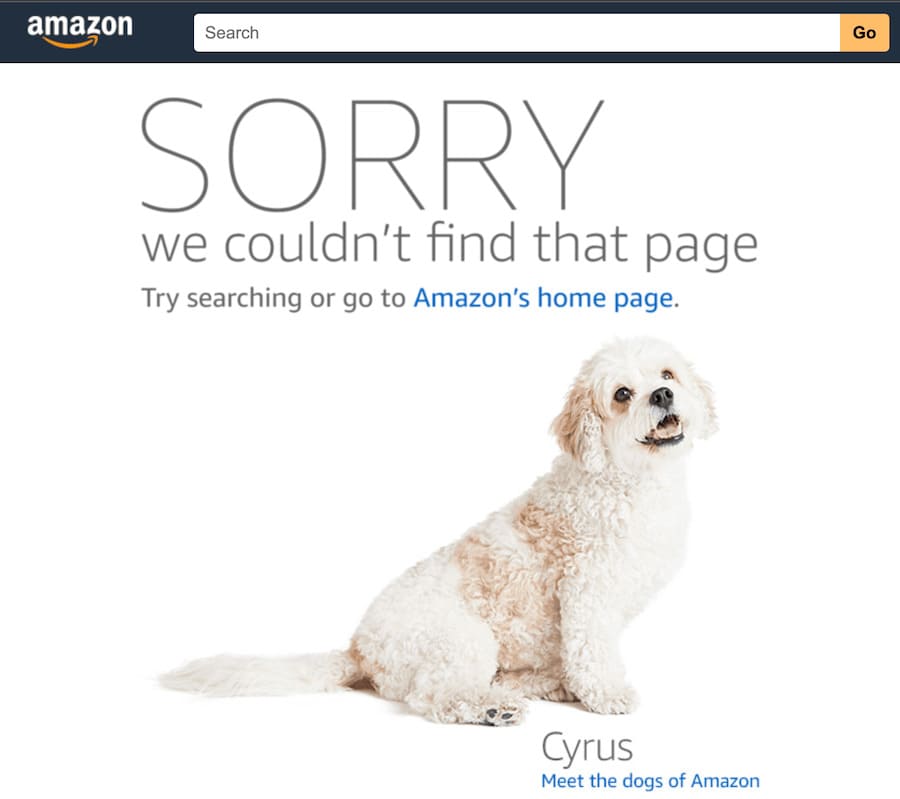 404 Page Amazon
