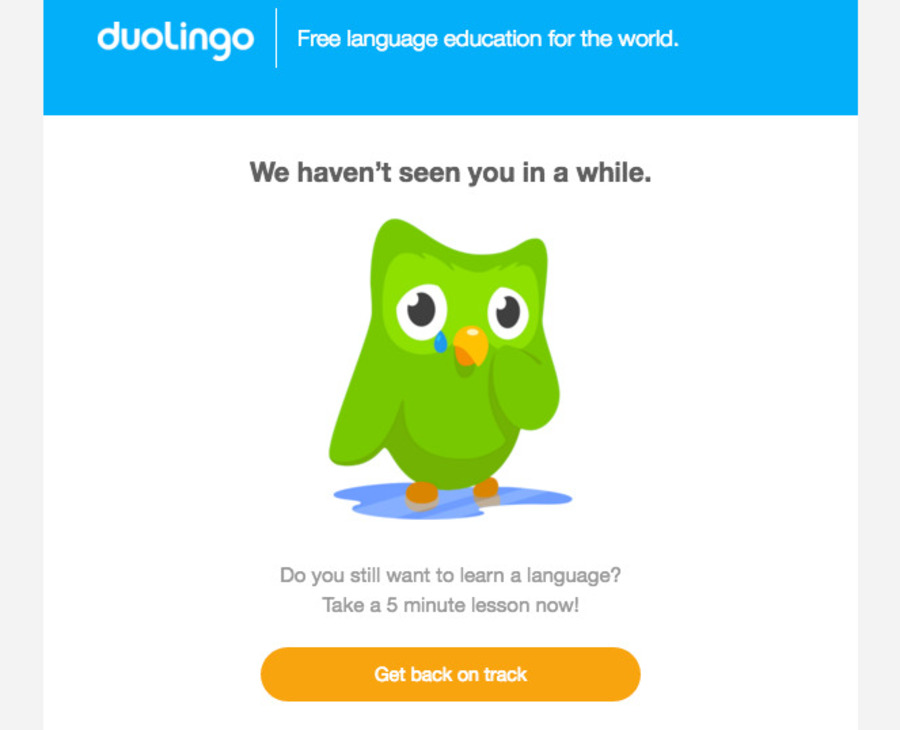 email blasts duolingo targeted email screenshot